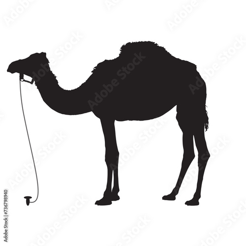 Silhouette of a CAMEL Illustration