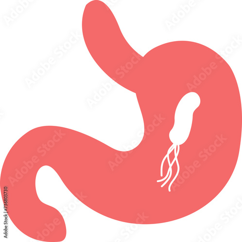 Human stomach and helicobacter pylori. Vector illustration cartoon style. 위장질환, 위염과 헬리코박터균