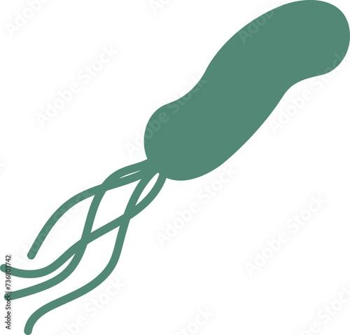Human stomach and helicobacter pylori. Vector illustration cartoon style. 위장질환, 위염과 헬리코박터균