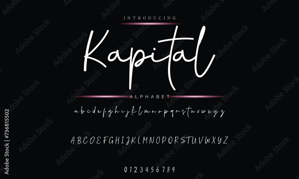 Fototapeta premium Custom Signature Font - Elegant Handwriting Typeface Illustration