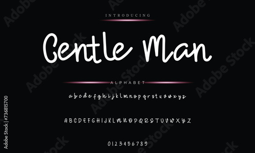 signature Font Calligraphy Logotype Script Brush Font Type Font lettering handwritten