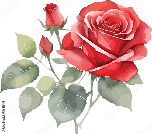 watercolor red rose flowers, vector illustration
