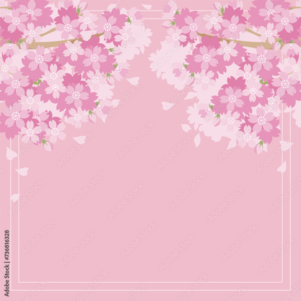 桜　さくら　フレーム　背景　春　花　お花見　入学　卒業　コピースペース　イラスト素材