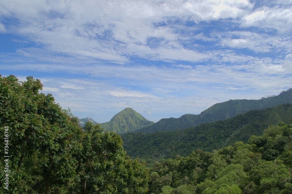 Beautiful green hills in Sembalun Lombok Indonesia