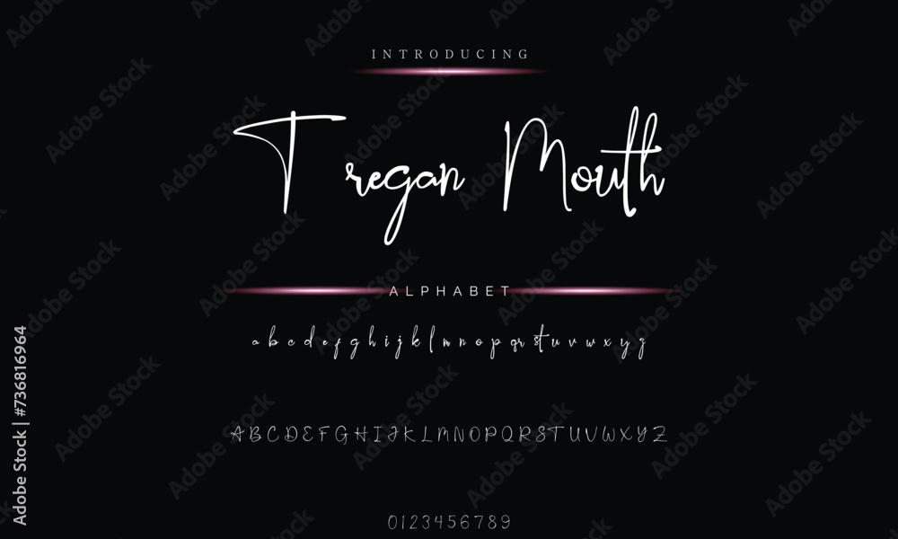 Obraz premium Signature Script Font - Elegant Handwritten Typography Design