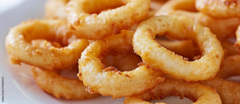 a close up of fried onion rings on a white plate . High quality
