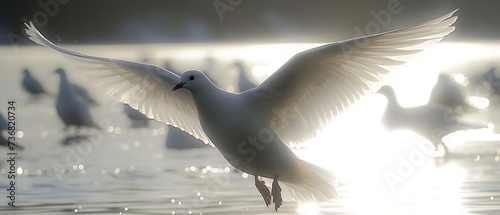a white bird flying over a body of water with lots of birds in the background and sun shining on the water. photo