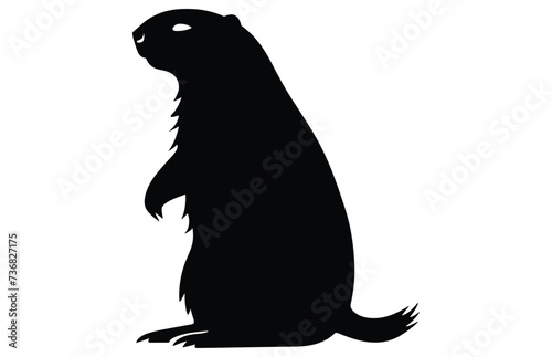 Groundhog silhouette design  groundhog black vector design  groundhog marmot silhouette. 