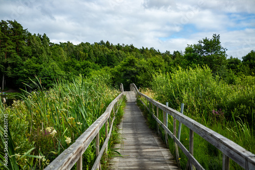 bridge over a wetland at lake vaettern in habo  sweden