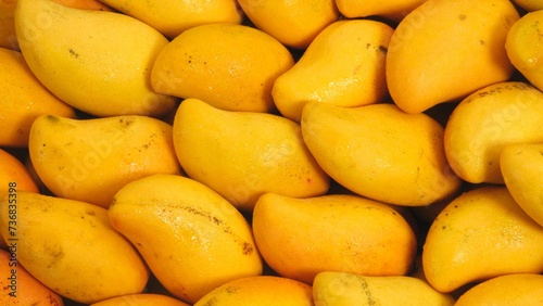 Golden Mango Harvest: Ripe and Juicy Delights