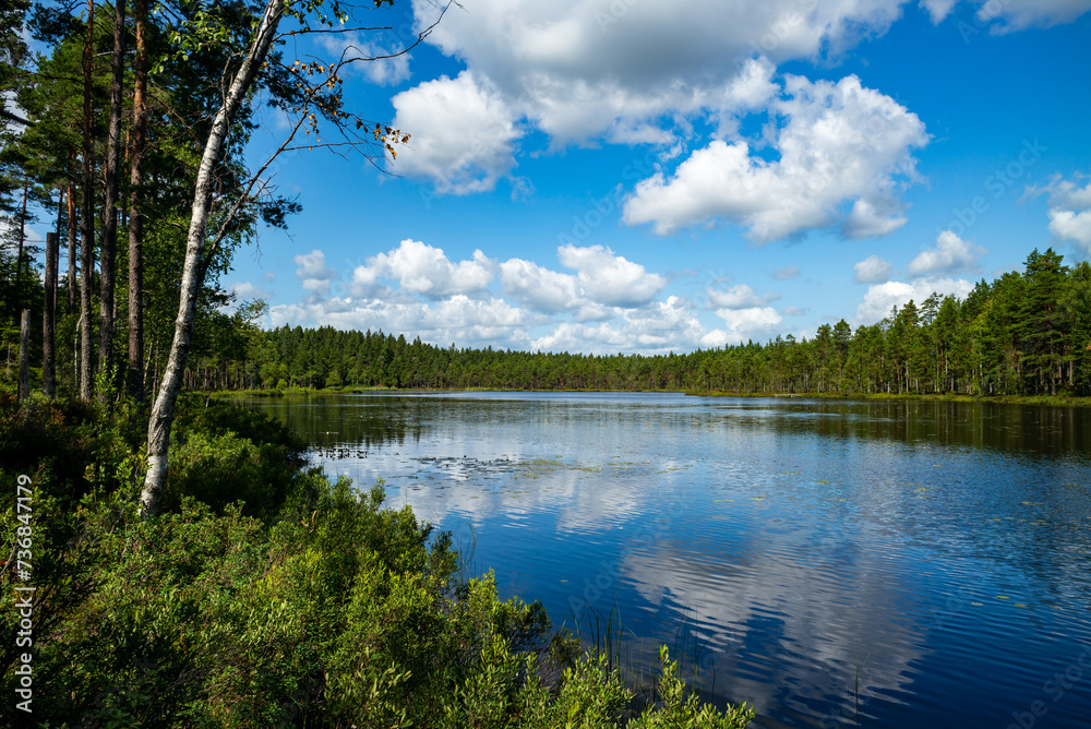 lake in a forest in the swedish nature reserve near tidaholm