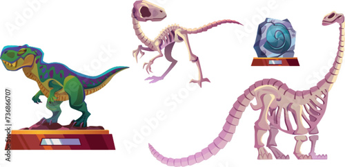 Exhibits of archaeological museum - dinosaur skeletons, recreated animal and stone with imprint. Cartoon vector illustration collection of jurassic prehistory paleontology exhibition dino artefacts.