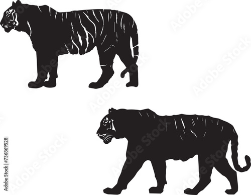 Fototapeta Naklejka Na Ścianę i Meble -  Big Tiger Black Silhouette on white background 