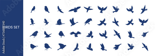 Vector silhouette flying birds on a white background. Birds set of icon. photo