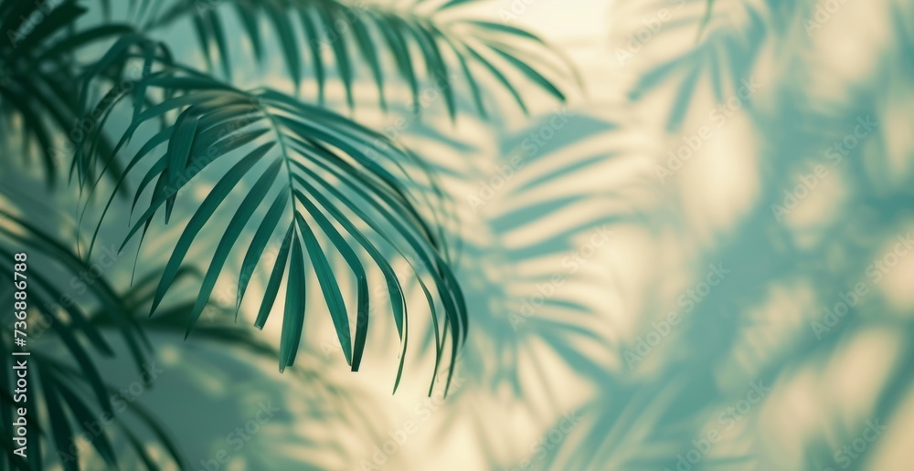 A shadow of palm leaves is cast on a wall, featuring a motion blur panorama, minimalist still life, minimalist and abstract shapes, and a matte background in light emerald and light beige. A shadow of palm leaves is cast on a wall, featuring a motion blur panorama, minimalist still life, minimalist and abstract shapes, and a matte background in light emerald and light beige.