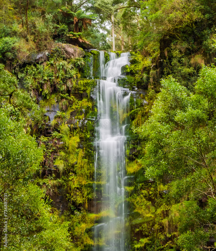 The view of the Erskine Falls in the Cape Otway National Park