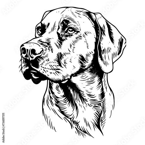 labrador retriever black silhouette logo svg vector, labrador retriever icon illustration