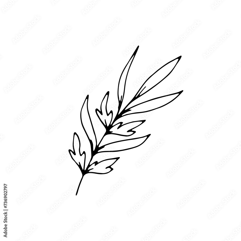 Hand-drawn botanical flower branch. Trendy botanical element. Wildflowers Clipart for wedding invitation. Wedding elegant wildflower for invitation save the date card Hand-drawn botanical flower branch. Trendy botanical element. Wildflowers Clipart for wedding invitation. Wedding elegant wildflower for invitation save the date card