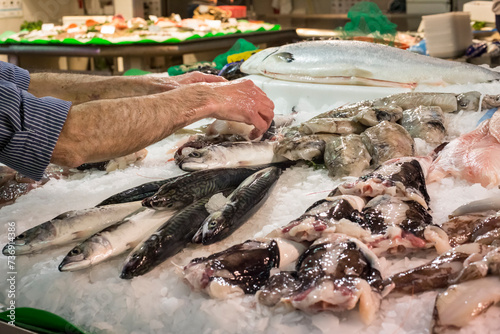 Fishmonger arranging his fish before opening his stall in the old Abaceria Central Market of the Gracia neighborhood, Barcelona