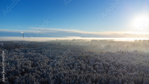 Aerial view on winter forest and city
