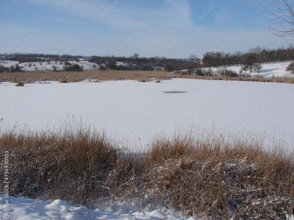 Panorama of a perfectly clean snow-white frozen surface of a steppe pond surrounded by dried sedge bushes under the rays of the frosty sun. Panorama of a perfectly clean snow-white frozen surface of a steppe pond surrounded by dried sedge bushes under the rays of the frosty sun.