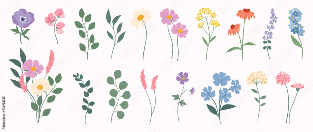 Collection of spring colorful flower elements vector. Set floral of wildflower, leaf branch, foliage on white background. Hand drawn blossom illustration for decor, easter, thanksgiving, clipart.