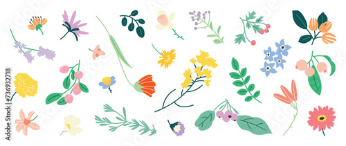 Collection of spring colorful flower elements vector. Set floral of wildflower, leaf branch, foliage on white background. Hand drawn blossom illustration for decor, easter, thanksgiving, clipart.