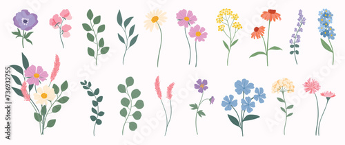 Collection of spring colorful flower elements vector. Set floral of wildflower, leaf branch, foliage on white background. Hand drawn blossom illustration for decor, easter, thanksgiving, clipart. #736932755