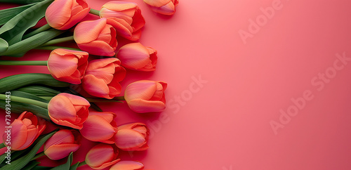  Spring tulip flowers on pink background top view in flat lay style. Greeting for Womens or Mothers Day or Spring Sale Banner. Generative Ai.