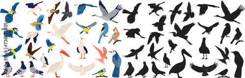set of birds in flat style vector
