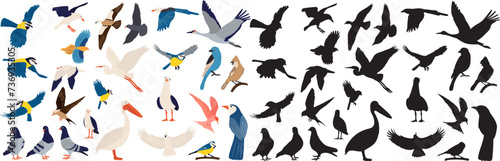 Photography set of birds in flat style vector