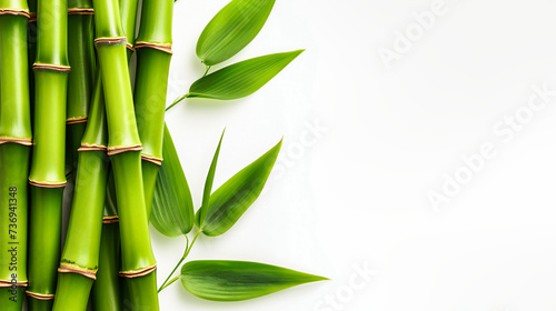 Zen Garden Tranquility: Fresh Green Bamboo Leaves Against a White Background, Symbolizing Peace and Natural Beauty in Asian Inspired Design photo