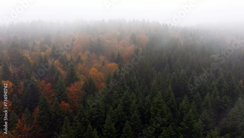Aerial view of foggy and cloudy autumn season forest landscape.