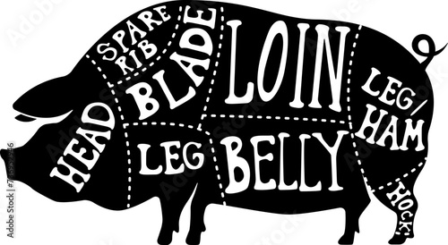 Hand-drawn butcher cuts scheme. Pork meat cuts. Butchery. Grill