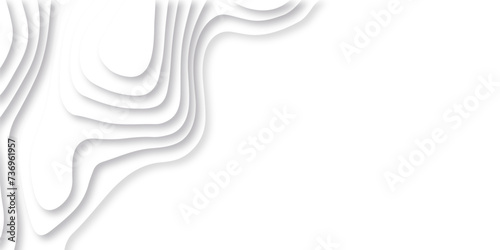 Abstract white paper cut background with lines. Background of the topographic map. White wave paper curved reliefs abstract background. Realistic papercut decoration textured with wavy layers.