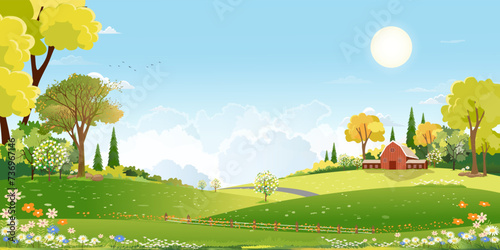 Spring field landscape with cloud and sky blue over forest trres,Vector cartoon scene rural nature park in sunny day summer,Beautiful farmland in countryside for Easter banner background photo