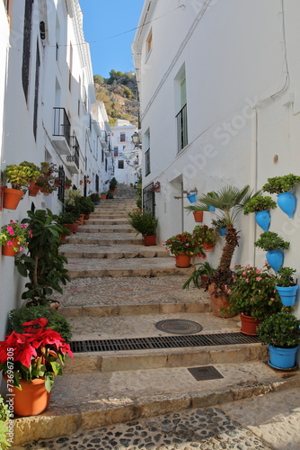Fototapeta Naklejka Na Ścianę i Meble -  A picturesque narrow and steep cobbled alley in Frigiliana, Axarquia, Malaga province, Andalusia, Spain, with traditional whitewashed little houses and decorated with colorful flowers and plants