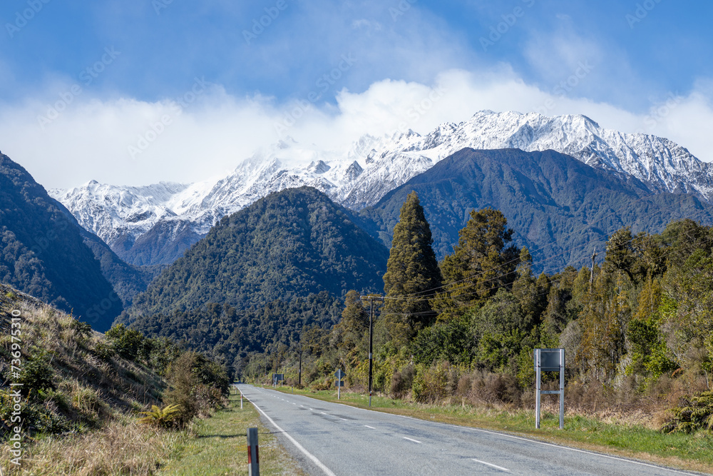 curved road between trees with snowy mount cook in the background in new zealand