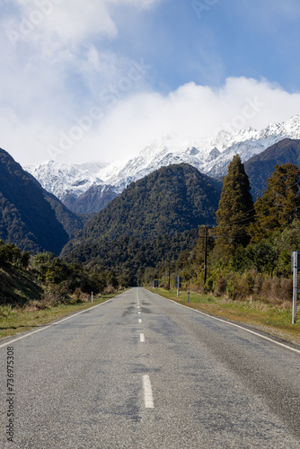 curved road between trees with snowy mount cook in the background in new zealand