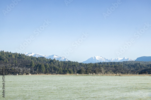 Frost-filled meadow with trees and snowy mountain in the background in New Zealand photo