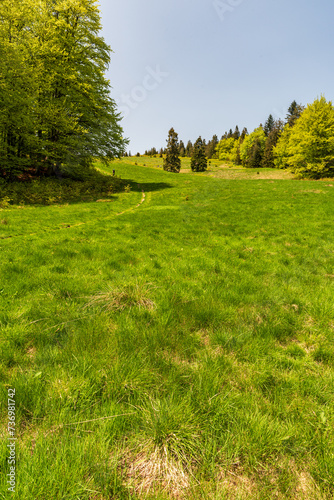 Hala Rycerzowa mountain meadow in springtime Beskid Zywiecki mountains in Poland