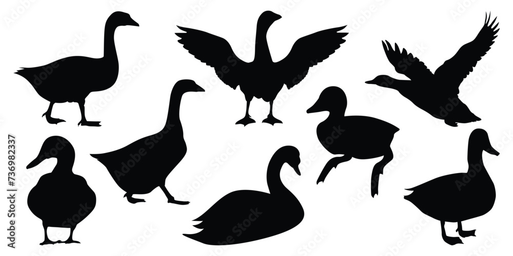 Fototapeta premium Duck Silhouettes vector illustration