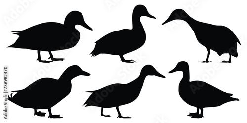 Duck Silhouettes vector illustration