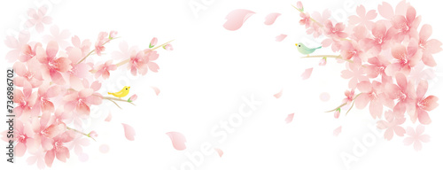 春の花 桜のベクターイラスト spring flowers background