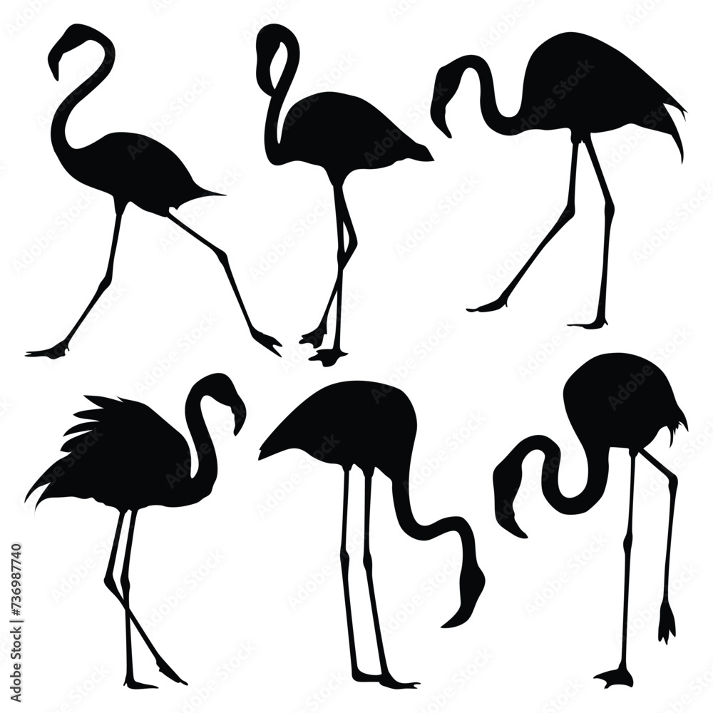 Fototapeta premium Flamingo Bird Silhouettes vector art