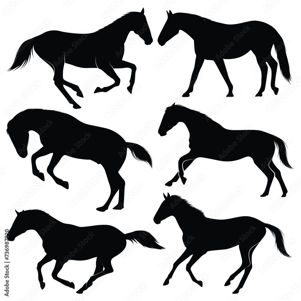 Animal Horse Running Silhouettes vector