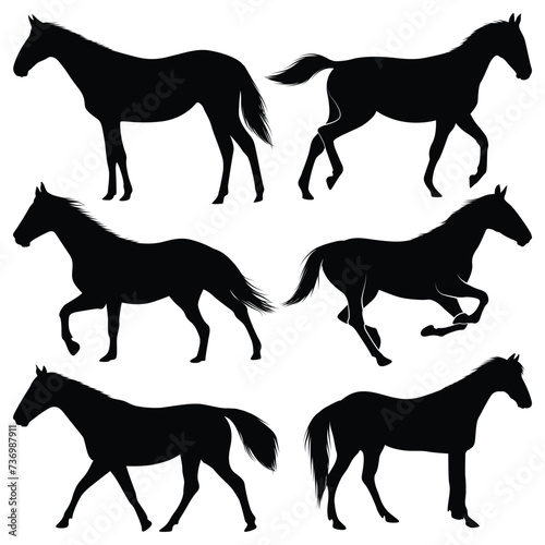 Animal Horse Running Silhouettes vector