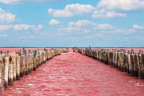 Exotic pink salt lake and blue sky with clouds.