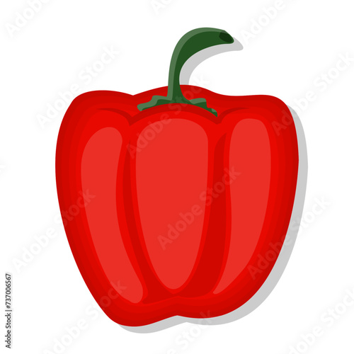 Vegetable red bell pepper cartoon illustration