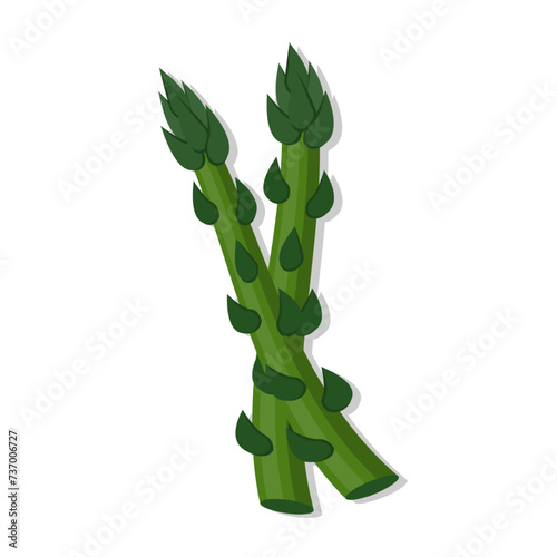 Vegetable organic asparagus cartoon illustration
